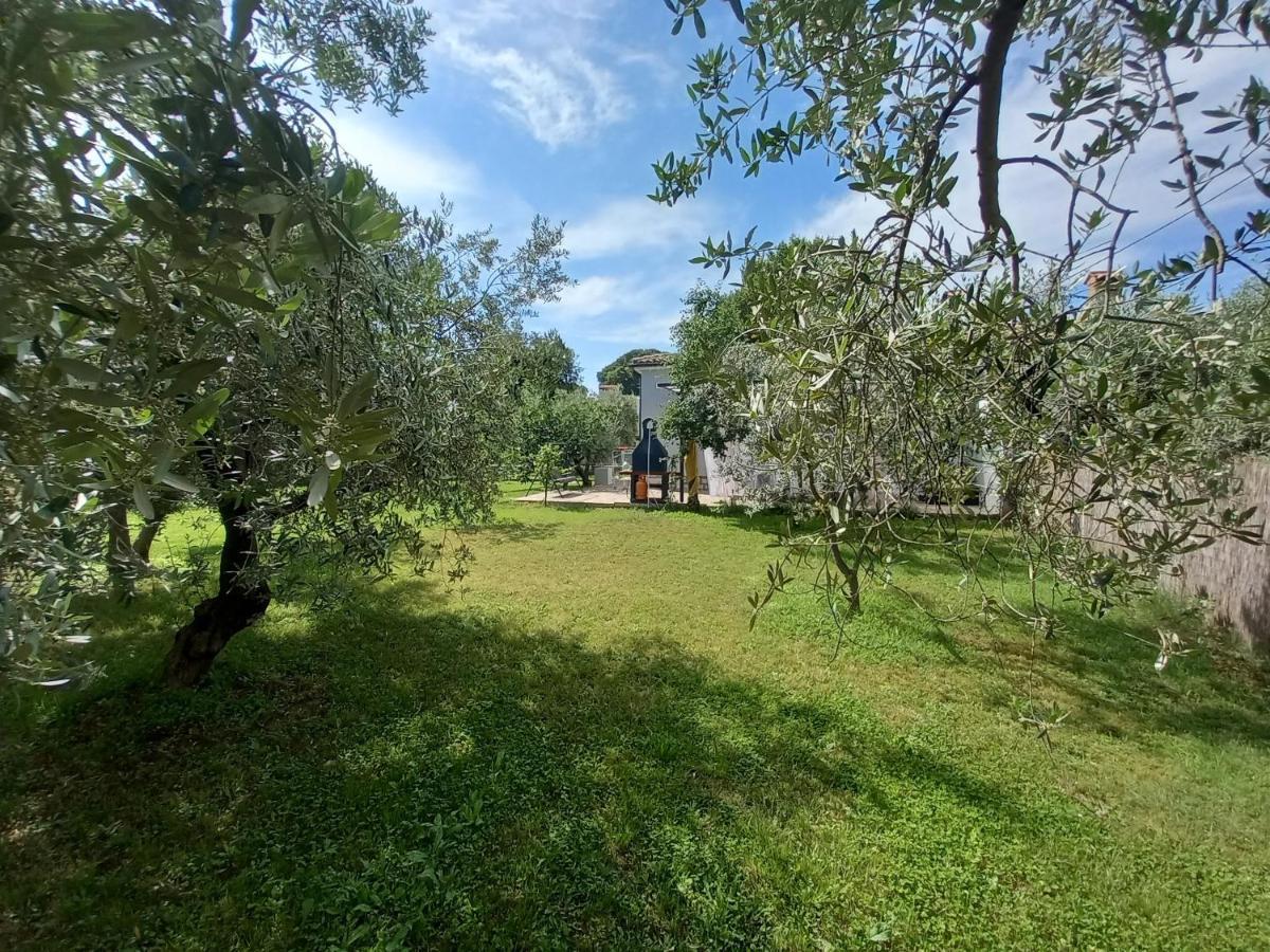 Holiday House Chill Out Loborika Marčana Eksteriør billede
